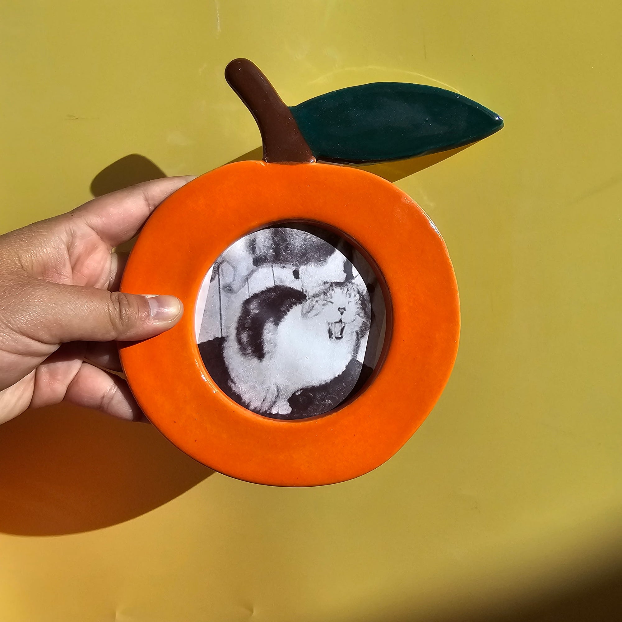 ORANGE PICTURE FRAME