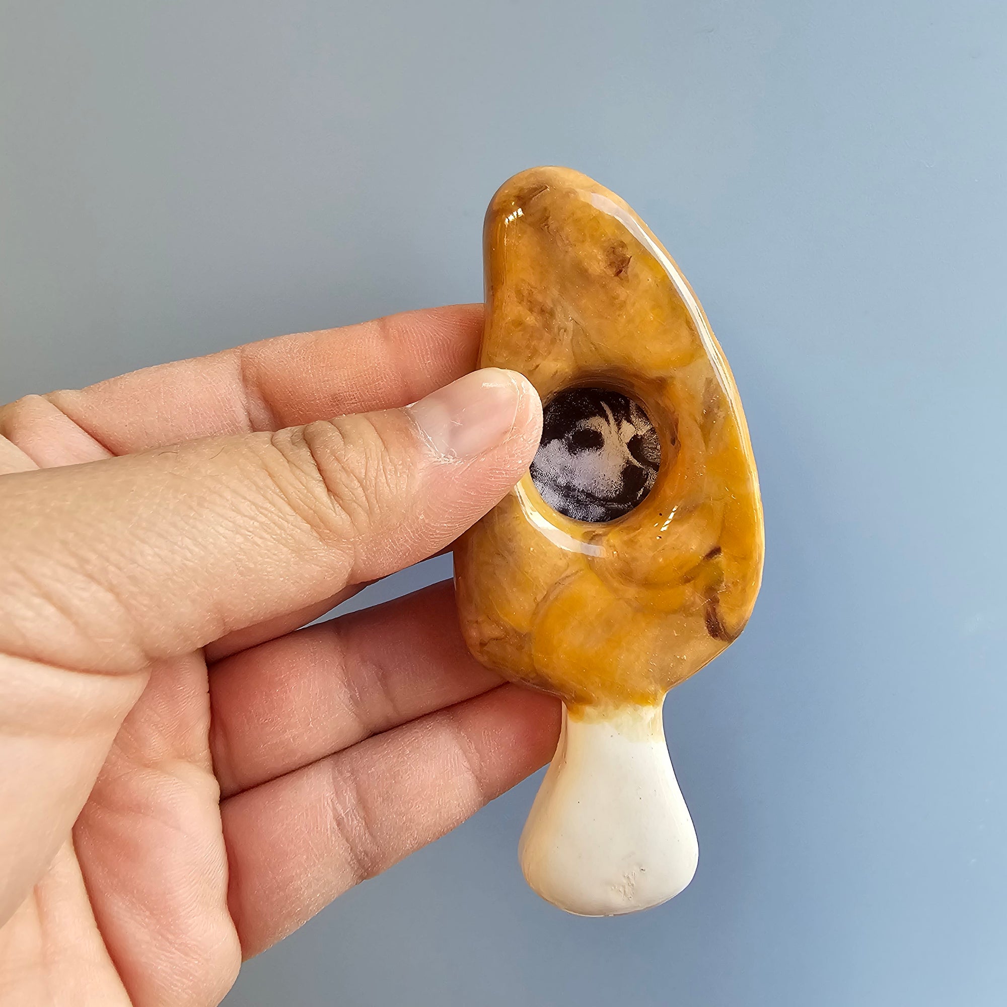 MORREL MUSHROOM  MINI FRAME
