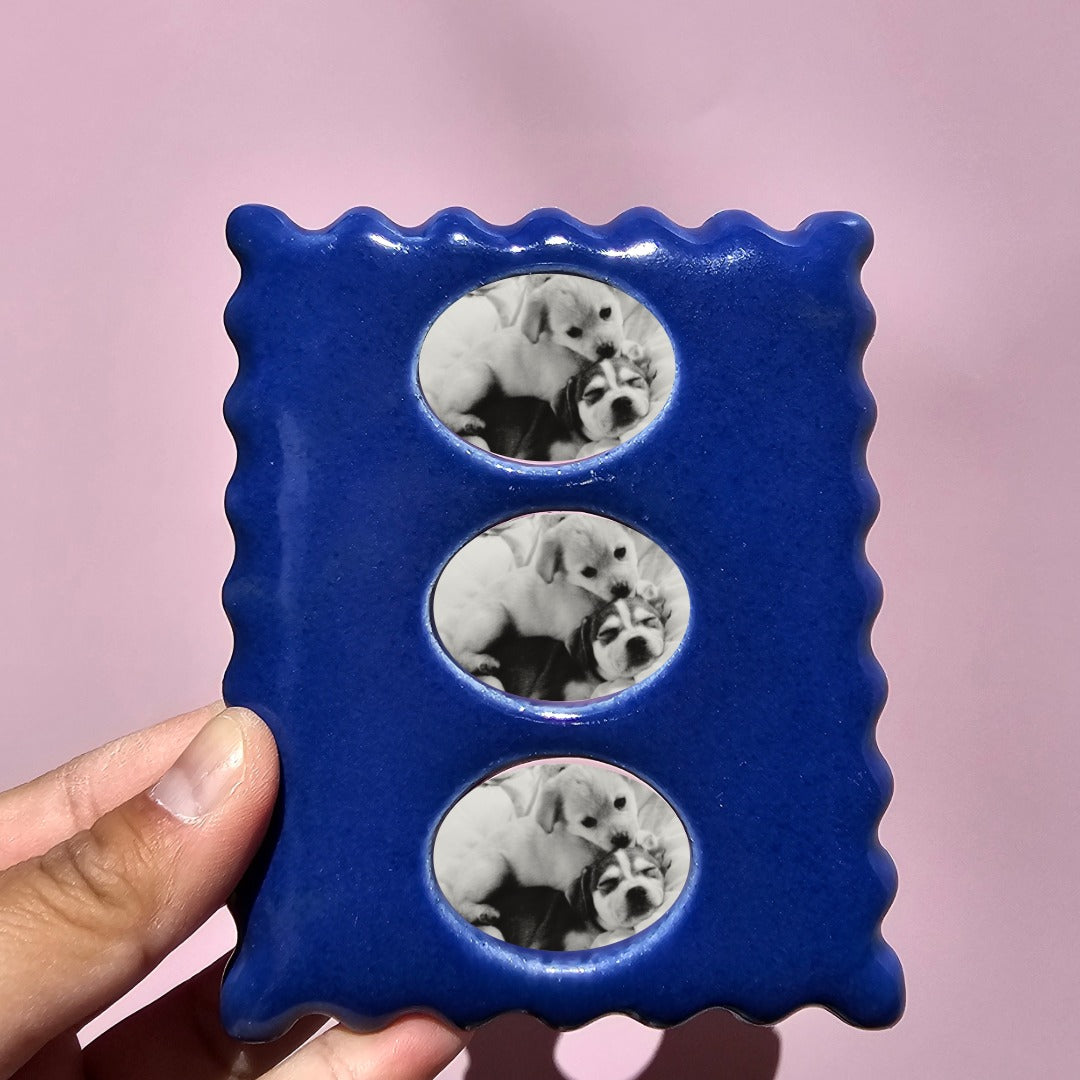 BLUEBERRY TRIPPLE MINI FRAME SPACE CASE